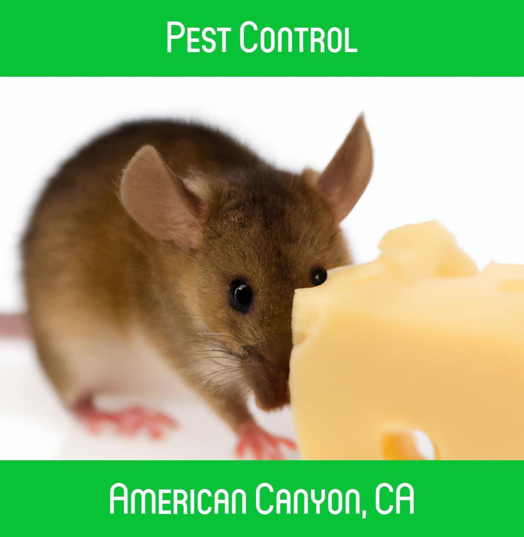 pest control in American Canyon California