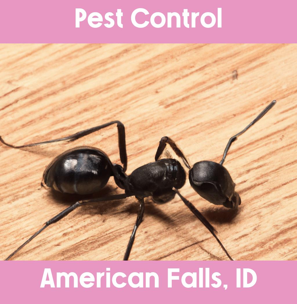 pest control in American Falls Idaho