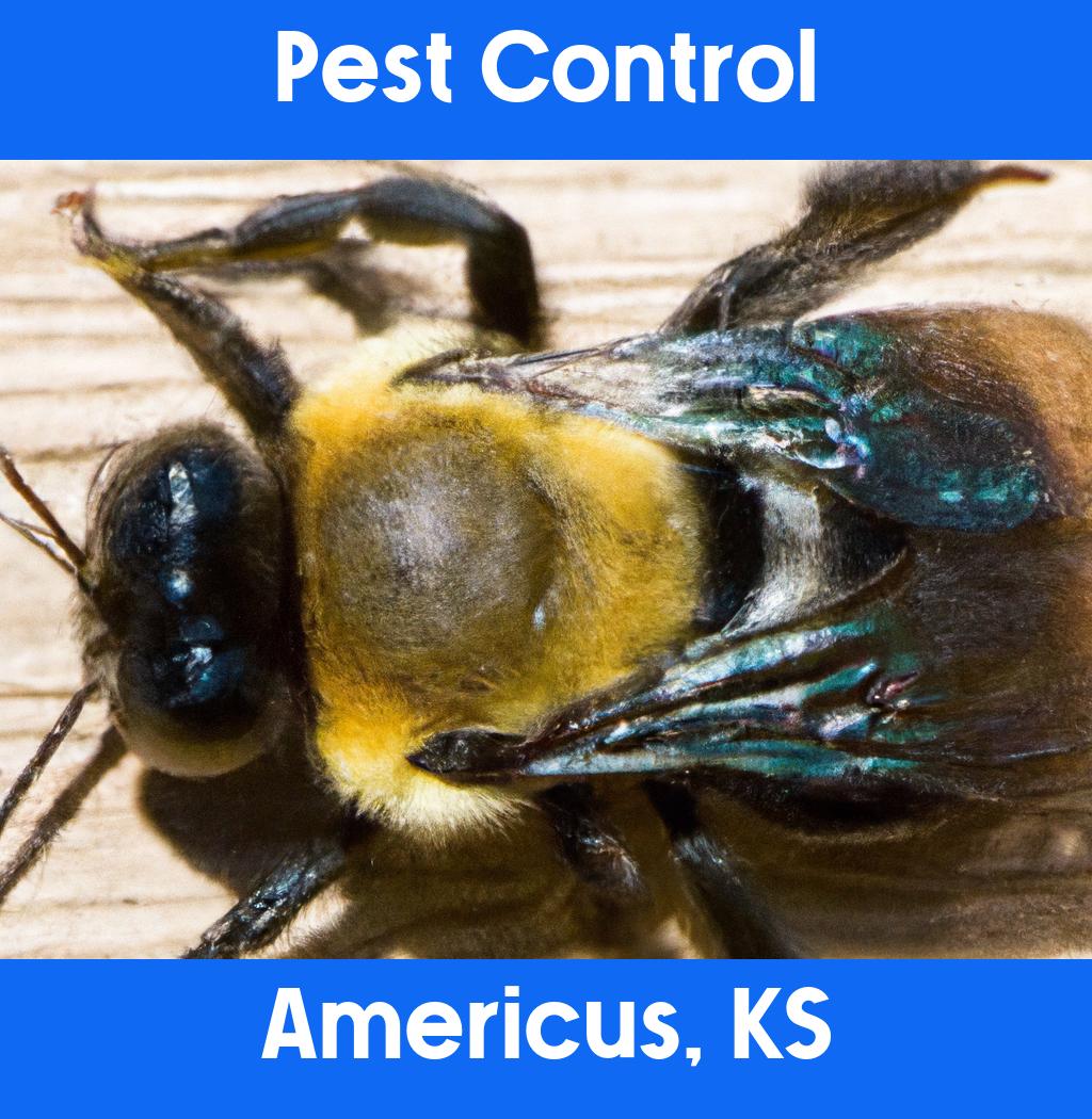 pest control in Americus Kansas