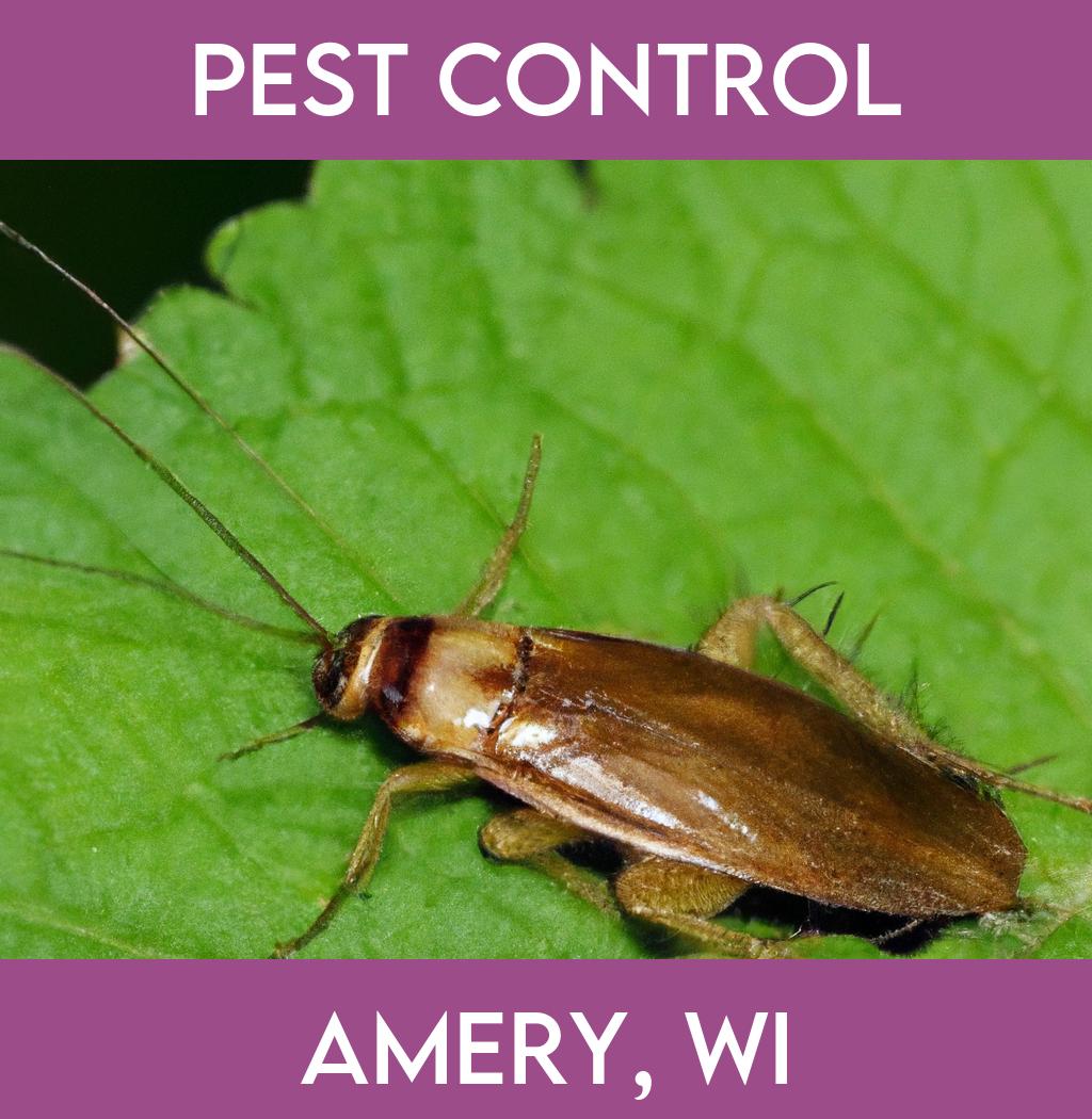 pest control in Amery Wisconsin