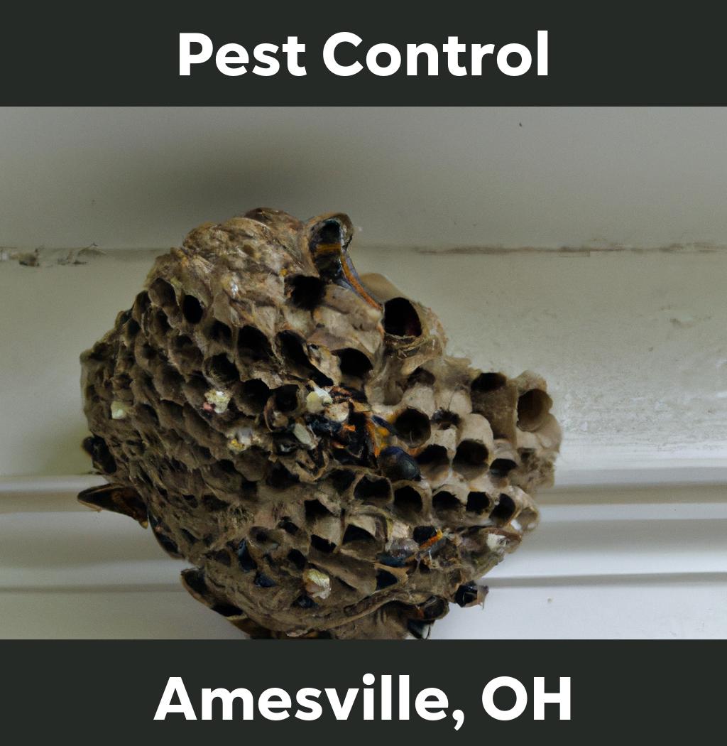 pest control in Amesville Ohio