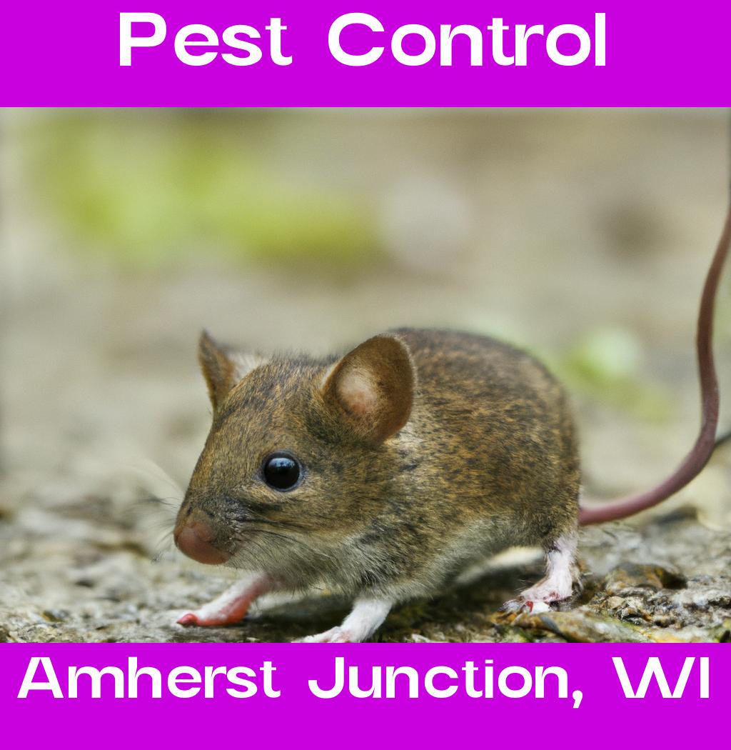 pest control in Amherst Junction Wisconsin