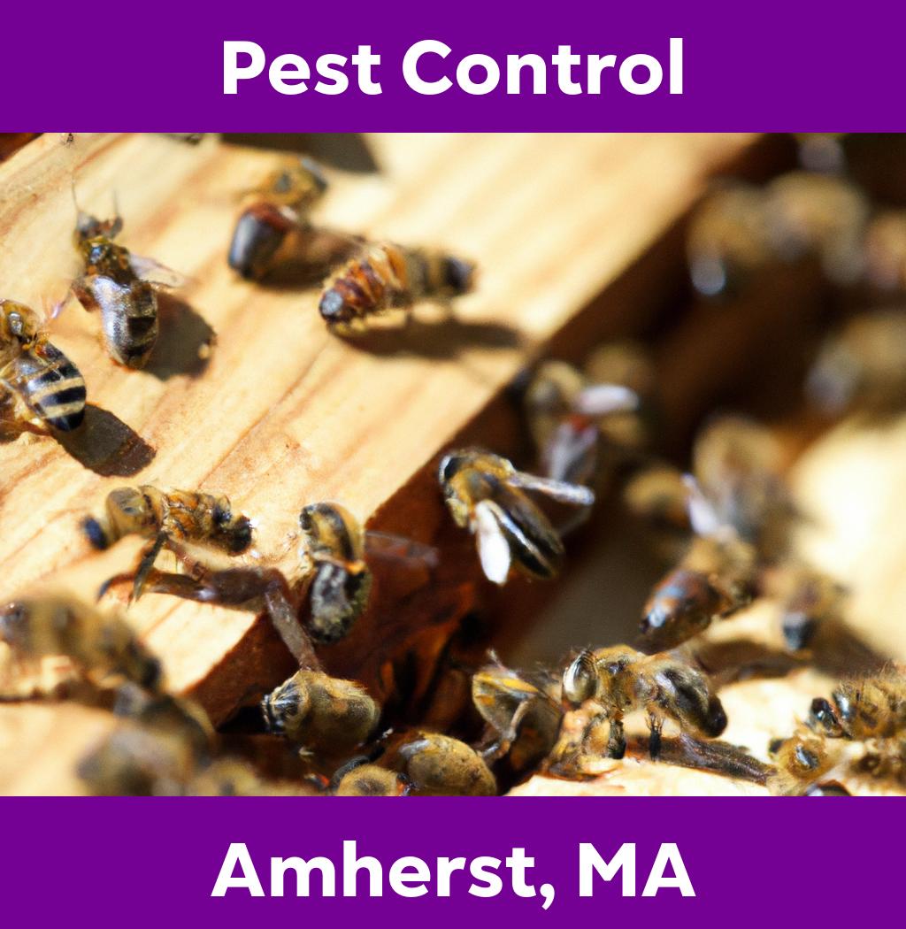 pest control in Amherst Massachusetts