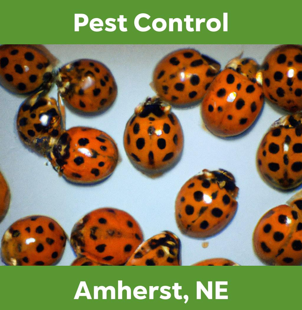 pest control in Amherst Nebraska