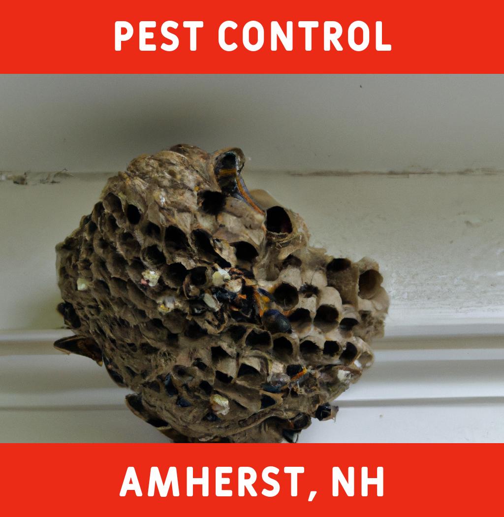 pest control in Amherst New Hampshire