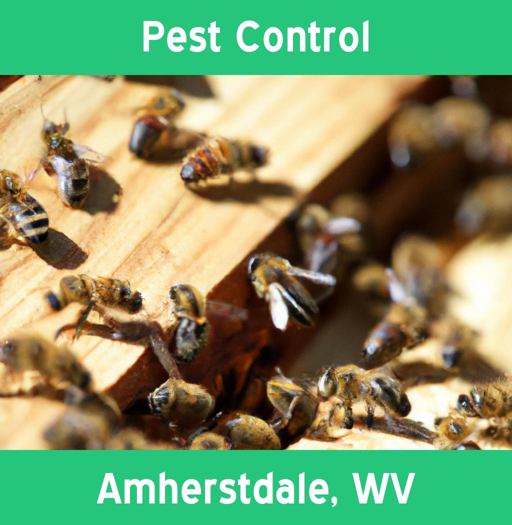 pest control in Amherstdale West Virginia