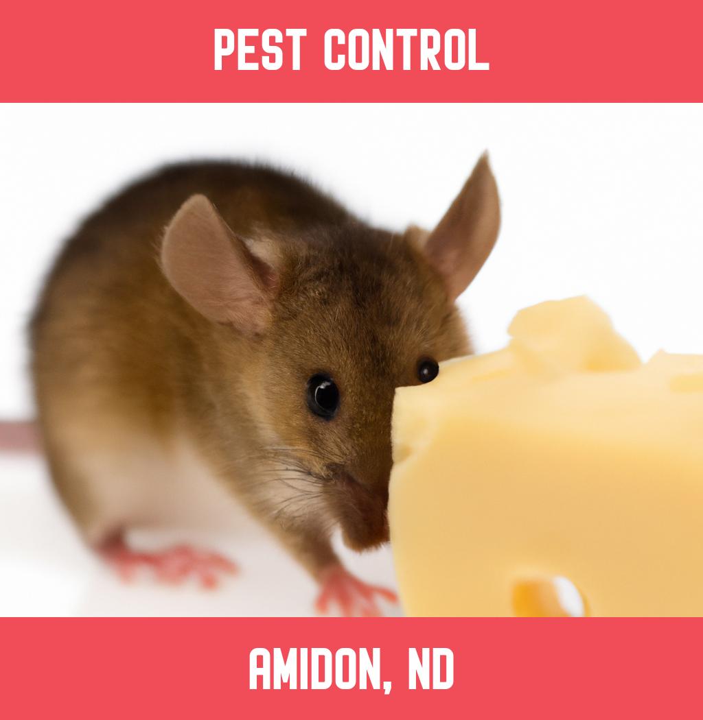 pest control in Amidon North Dakota