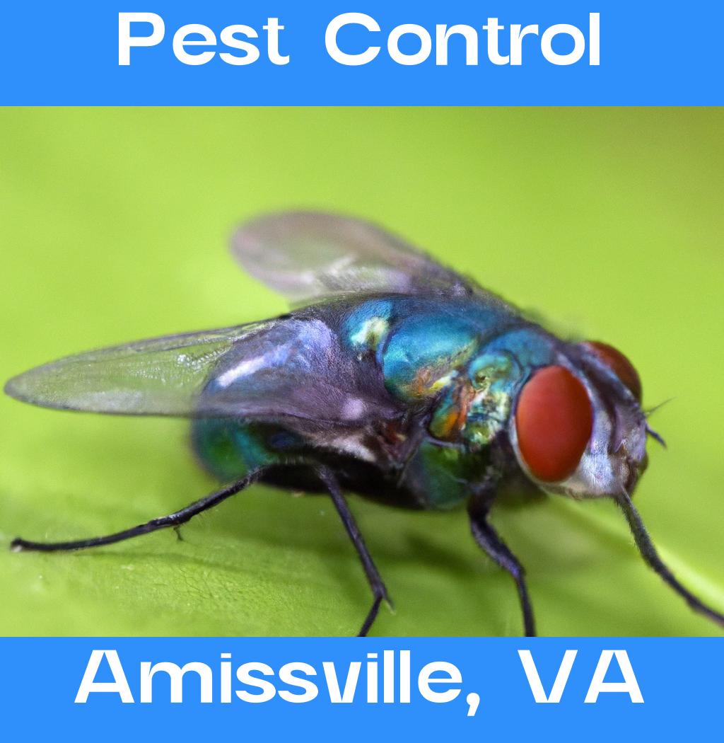 pest control in Amissville Virginia