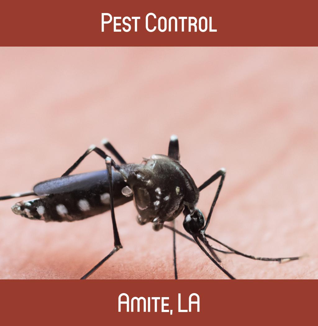 pest control in Amite Louisiana