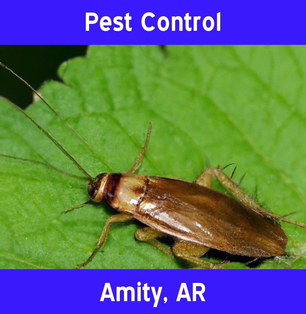 pest control in Amity Arkansas