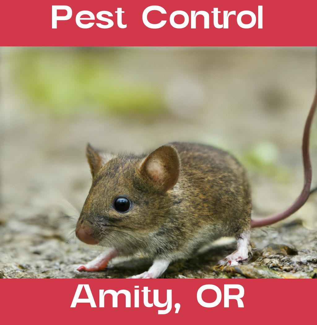 pest control in Amity Oregon