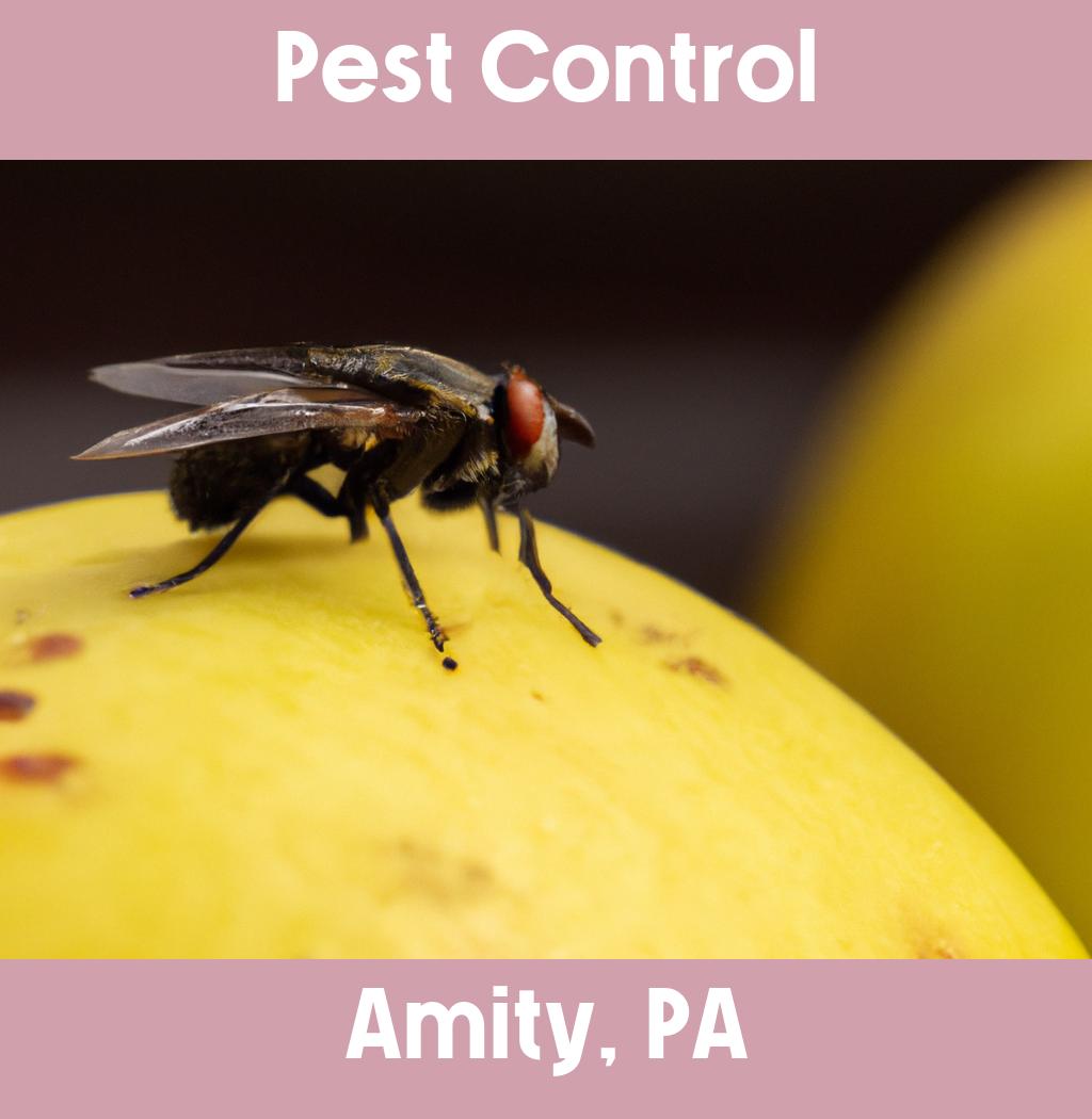 pest control in Amity Pennsylvania