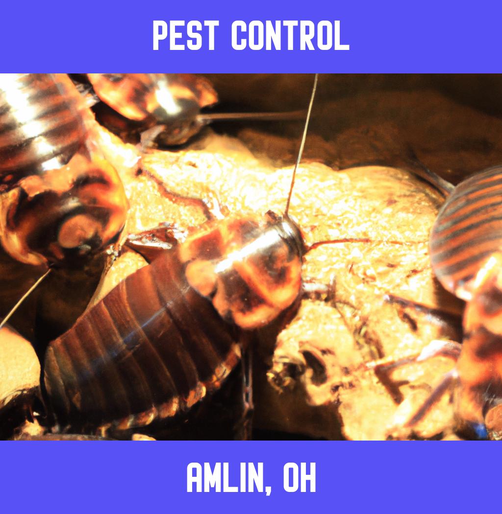 pest control in Amlin Ohio