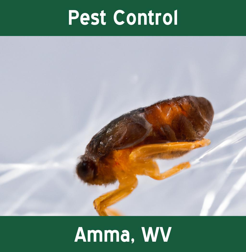 pest control in Amma West Virginia
