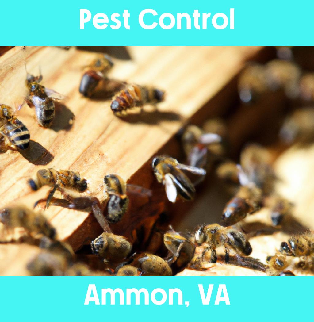 pest control in Ammon Virginia