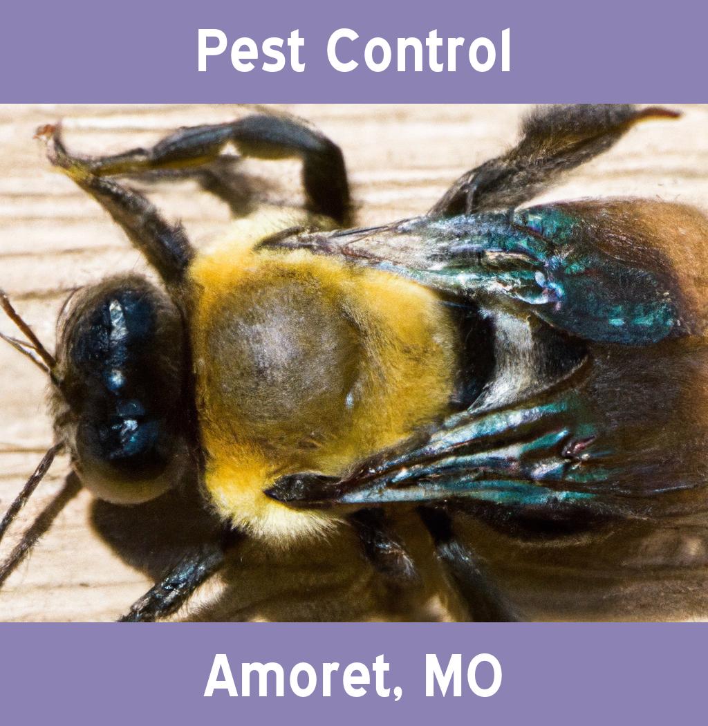 pest control in Amoret Missouri