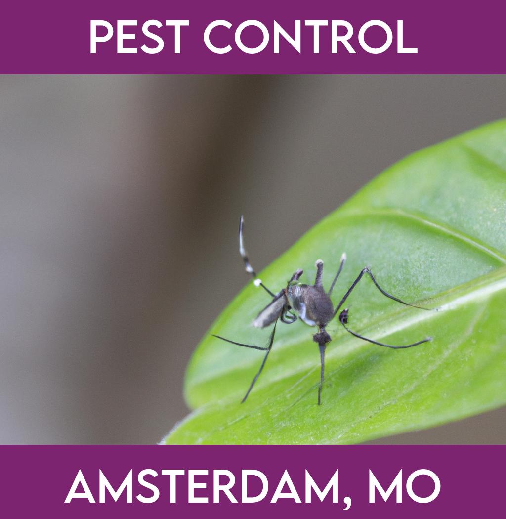 pest control in Amsterdam Missouri