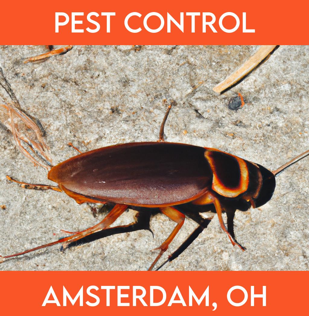 pest control in Amsterdam Ohio