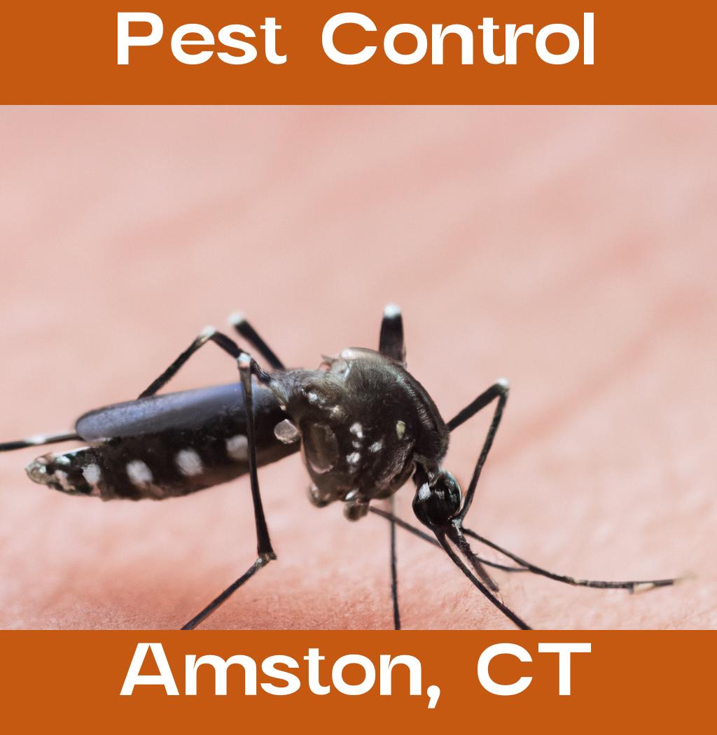 pest control in Amston Connecticut