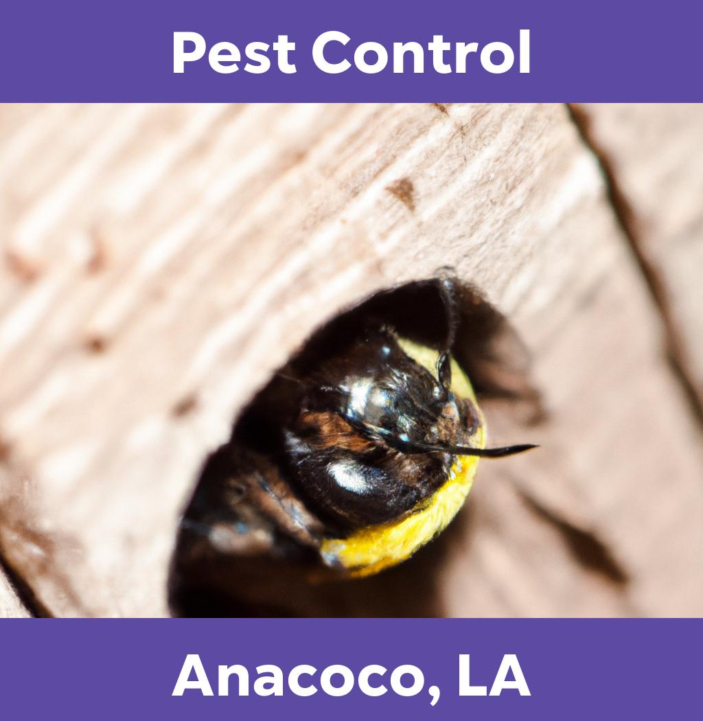 pest control in Anacoco Louisiana