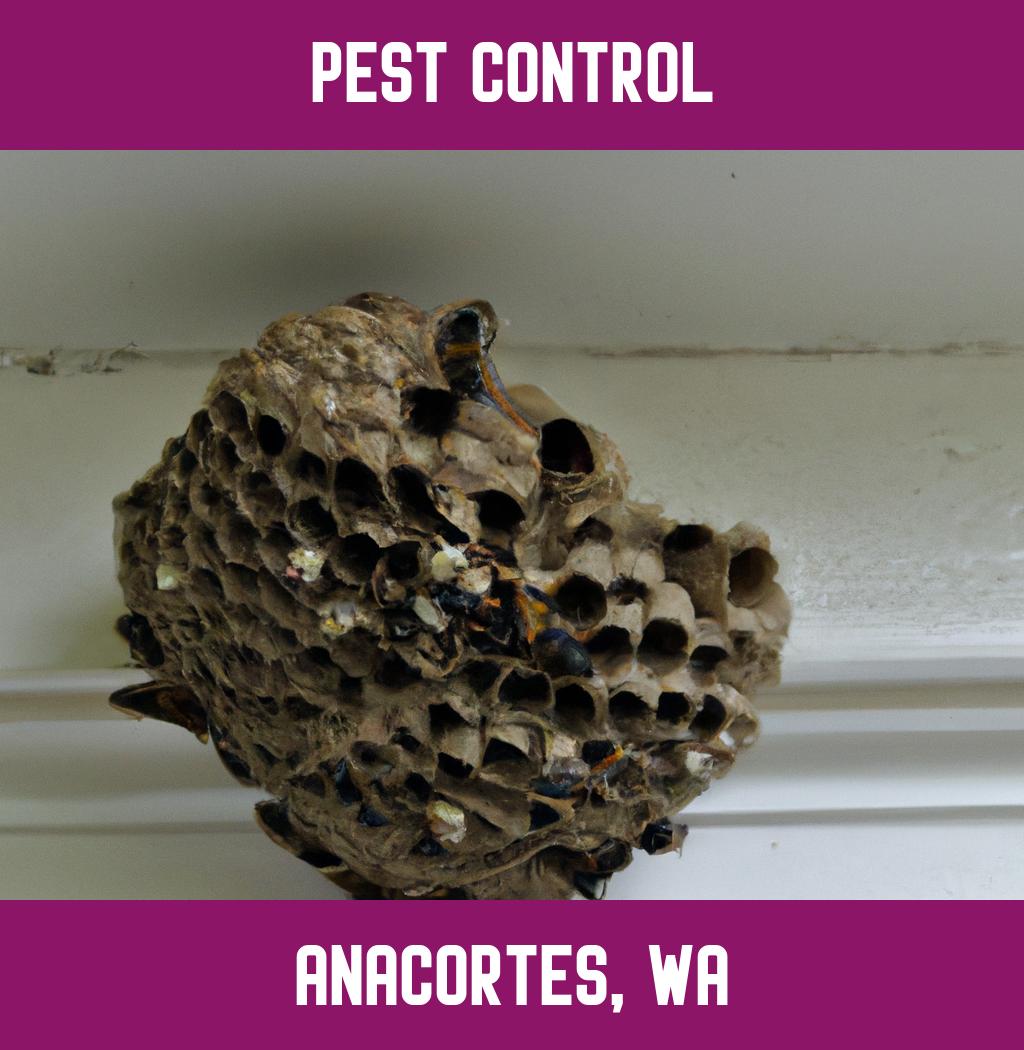 pest control in Anacortes Washington