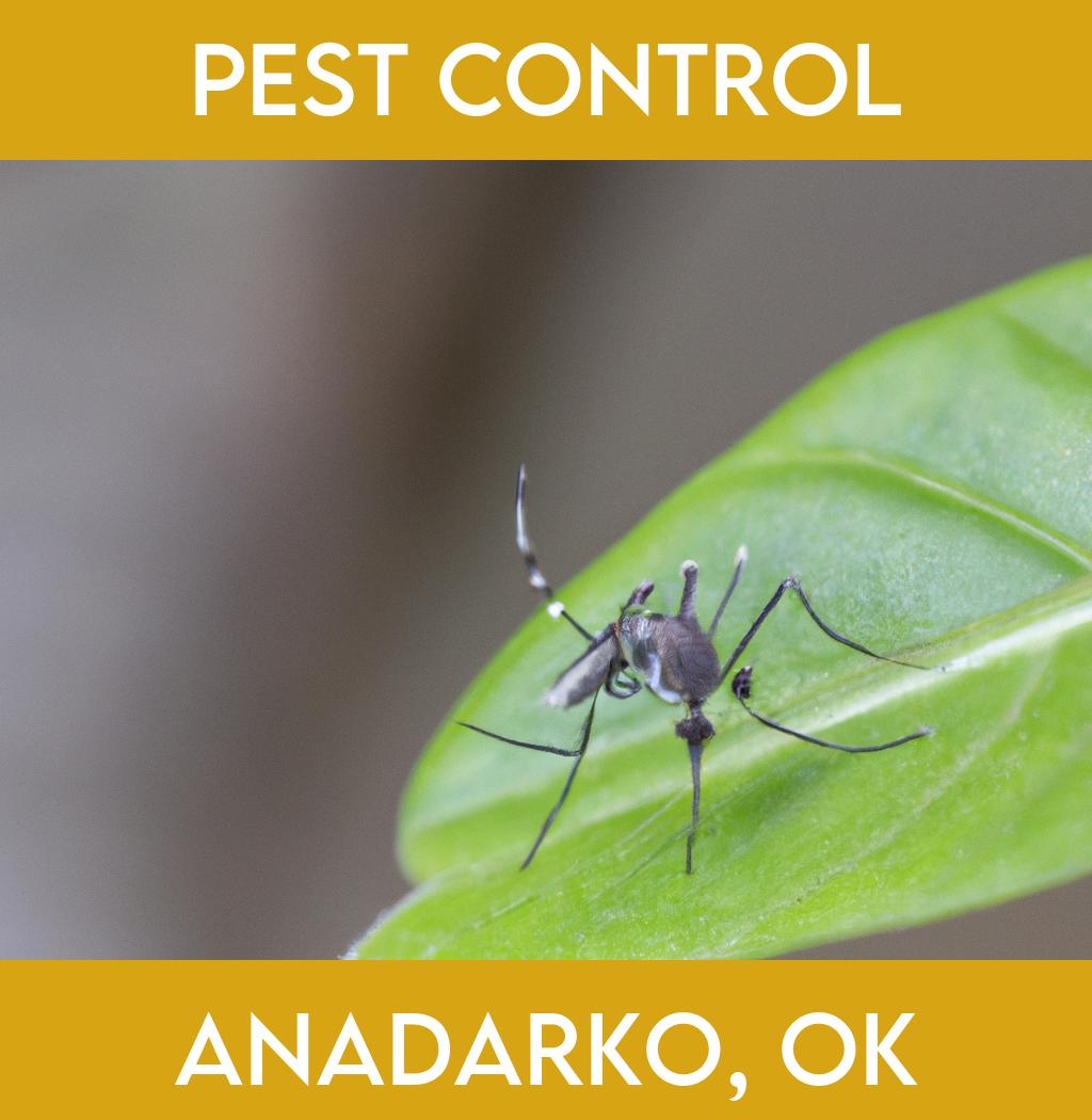 pest control in Anadarko Oklahoma