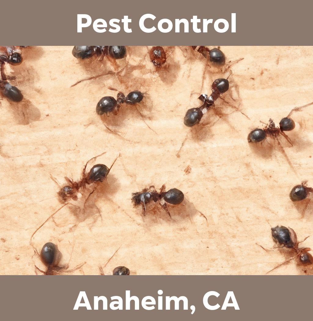 pest control in Anaheim California