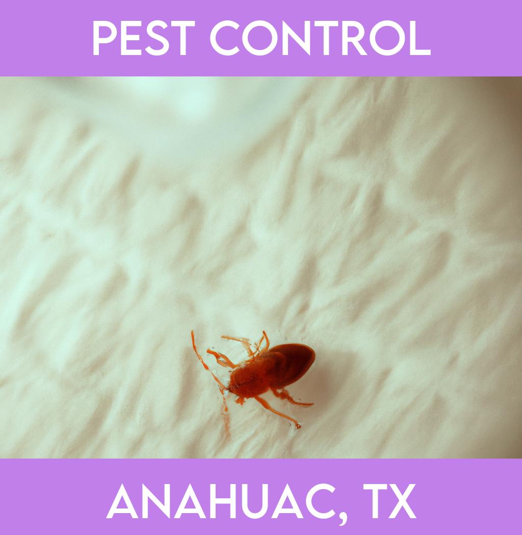 pest control in Anahuac Texas