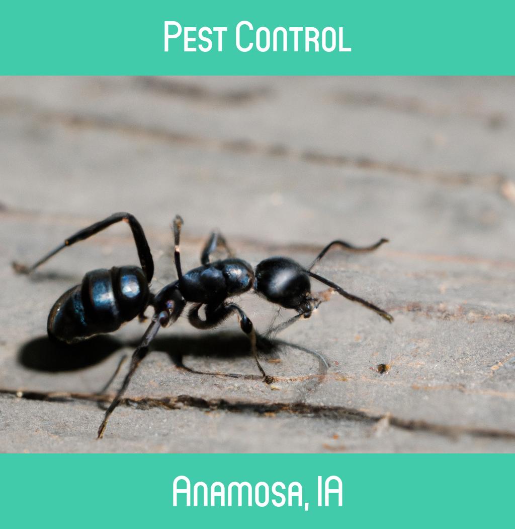 pest control in Anamosa Iowa