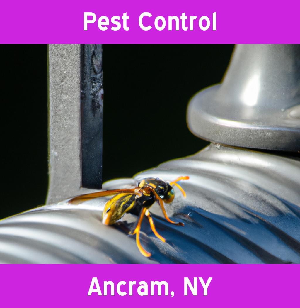 pest control in Ancram New York