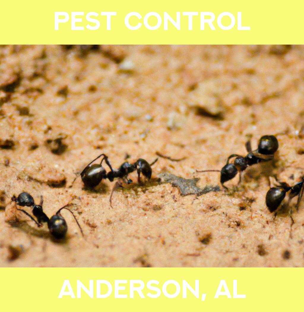 pest control in Anderson Alabama