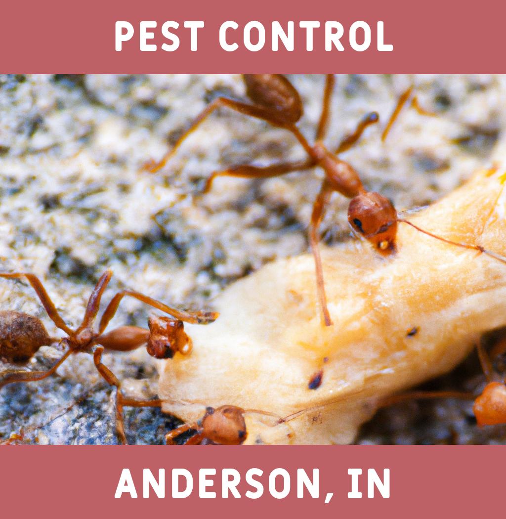 pest control in Anderson Indiana