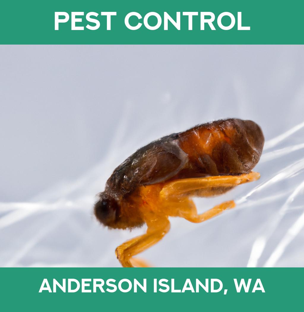 pest control in Anderson Island Washington