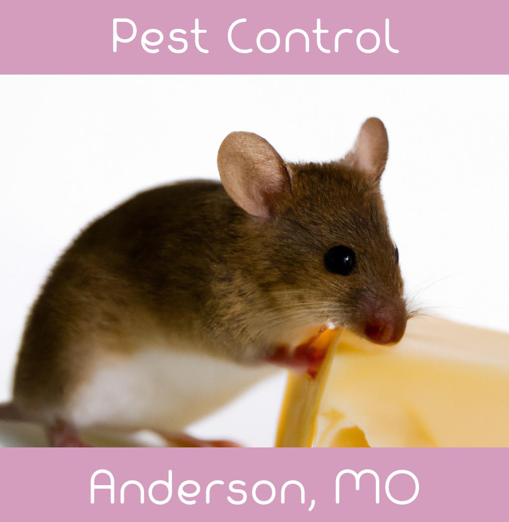 pest control in Anderson Missouri