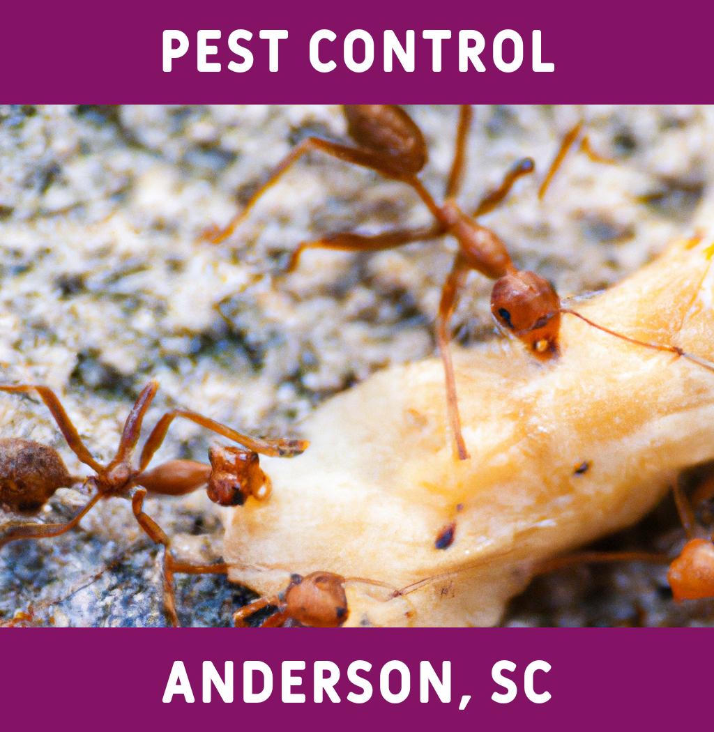 pest control in Anderson South Carolina