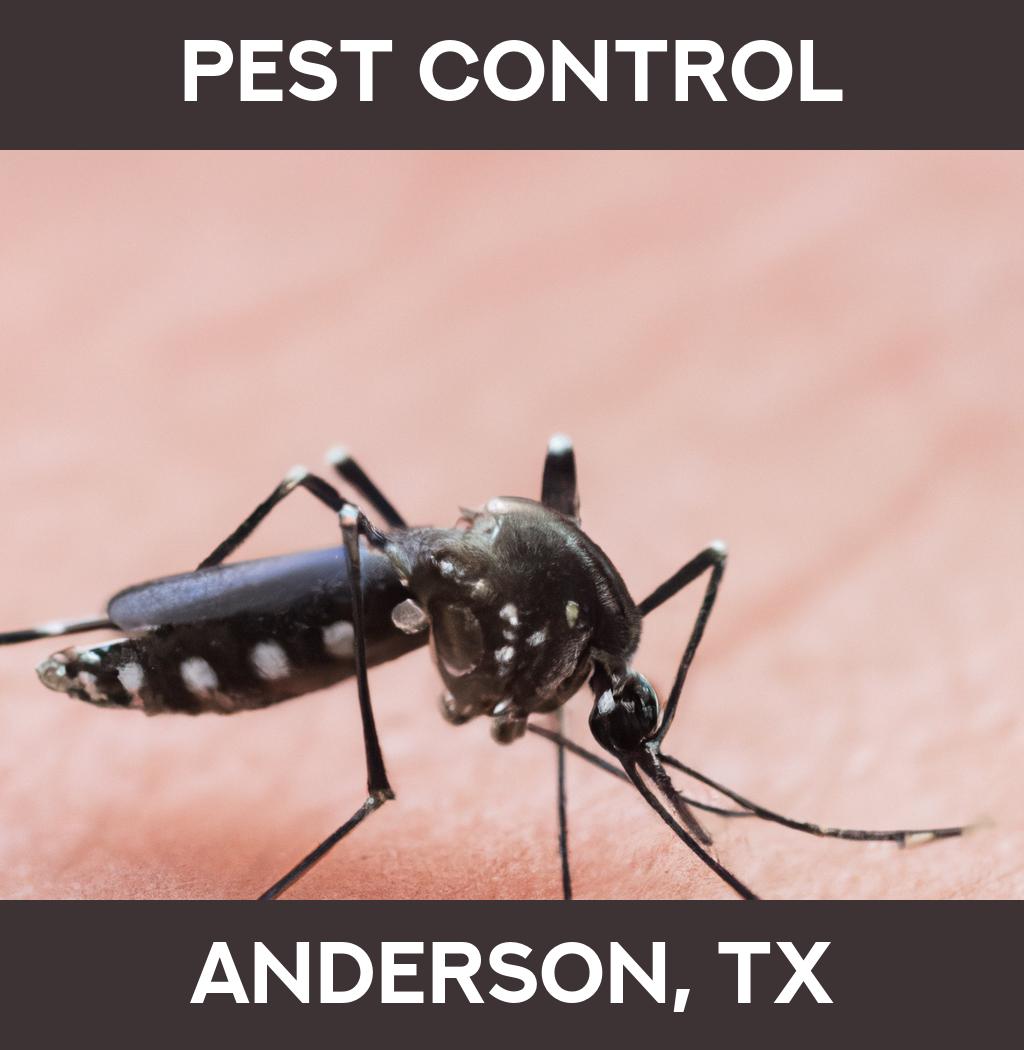 pest control in Anderson Texas