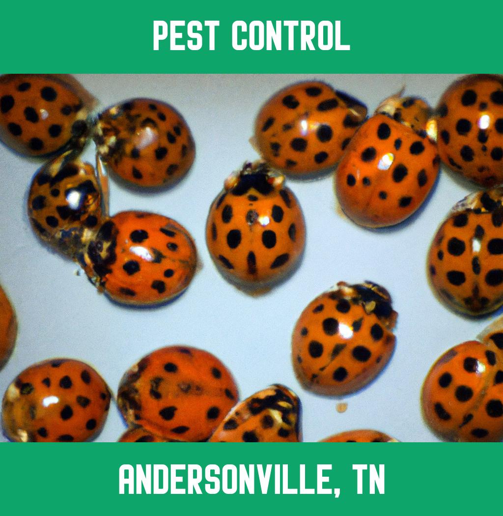 pest control in Andersonville Tennessee