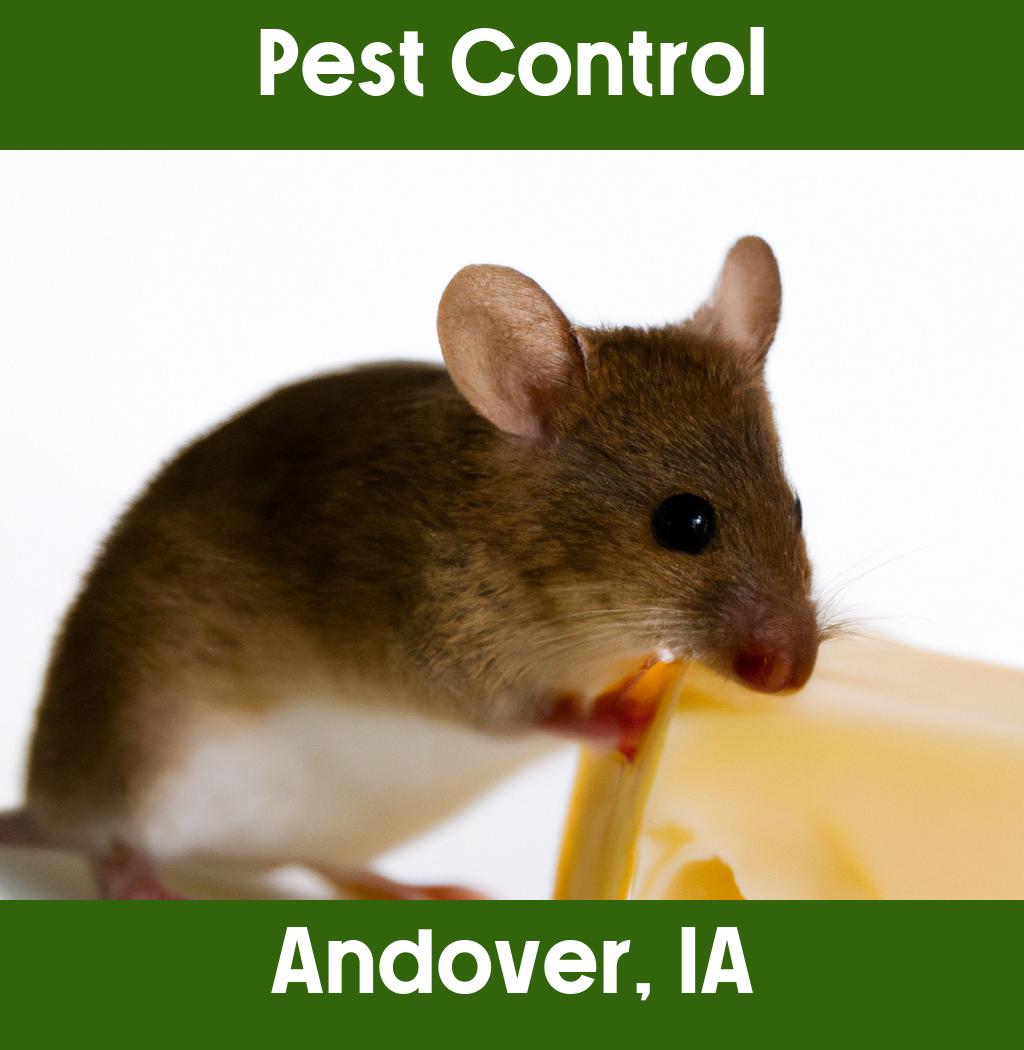 pest control in Andover Iowa