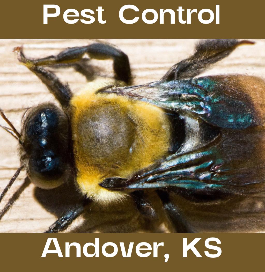 pest control in Andover Kansas