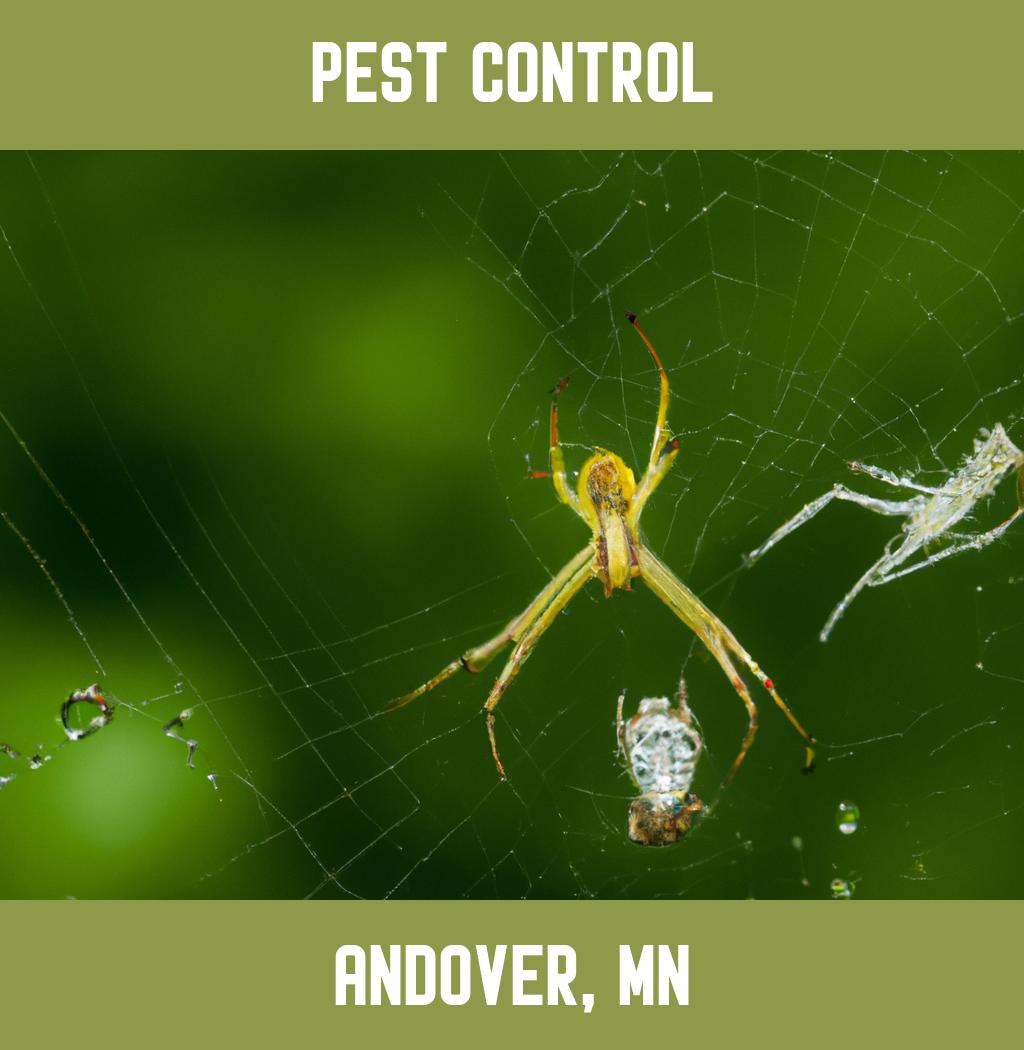 pest control in Andover Minnesota