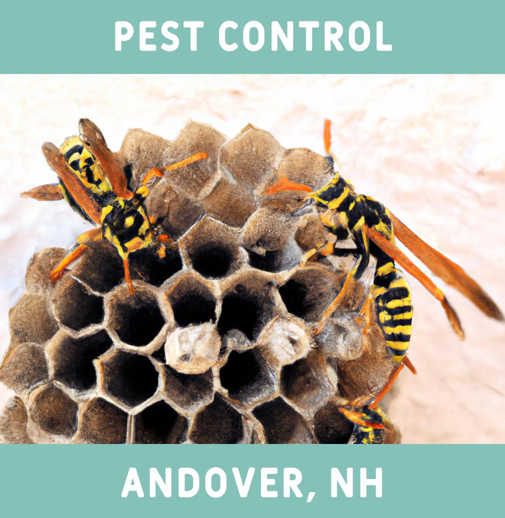 pest control in Andover New Hampshire