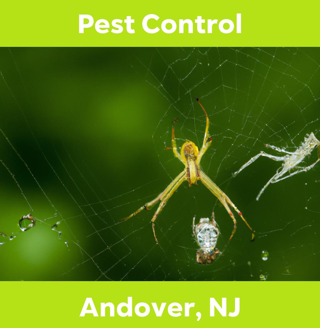 pest control in Andover New Jersey
