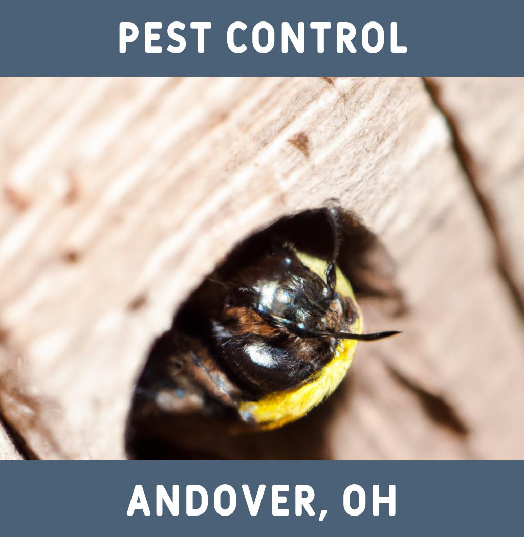 pest control in Andover Ohio