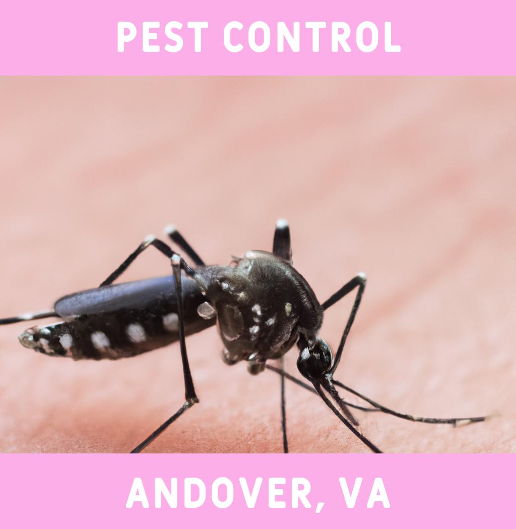 pest control in Andover Virginia