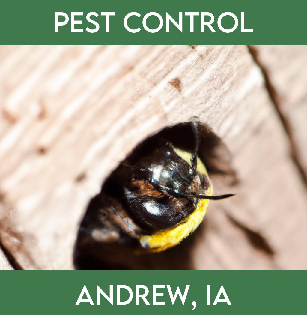 pest control in Andrew Iowa