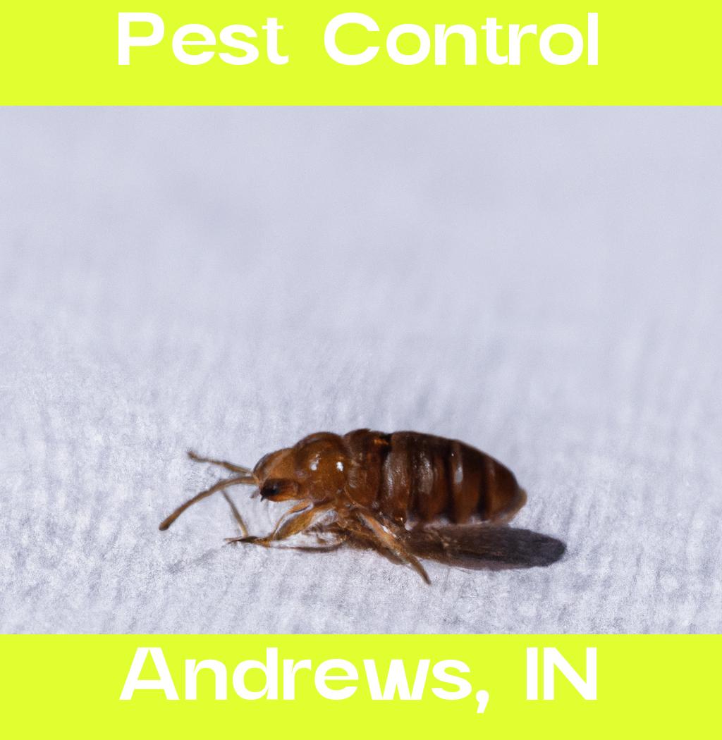 pest control in Andrews Indiana