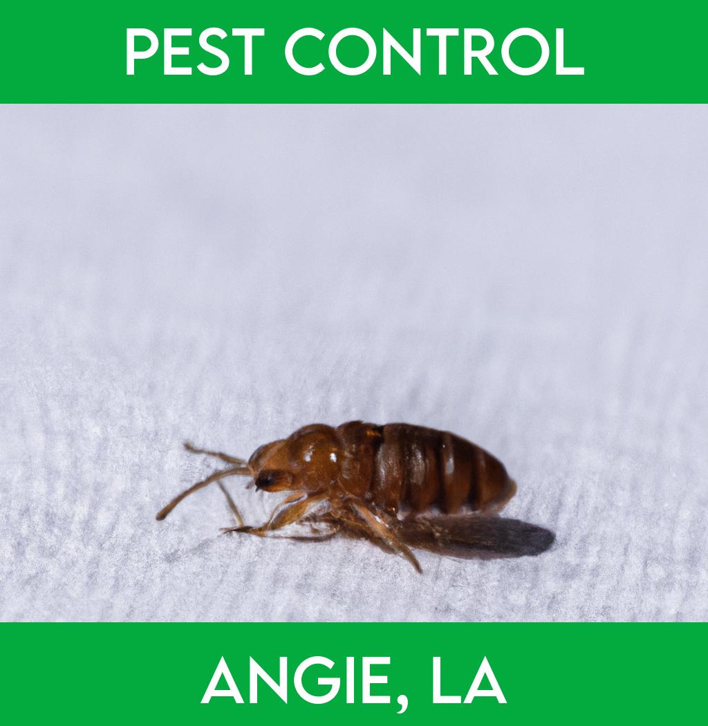 pest control in Angie Louisiana