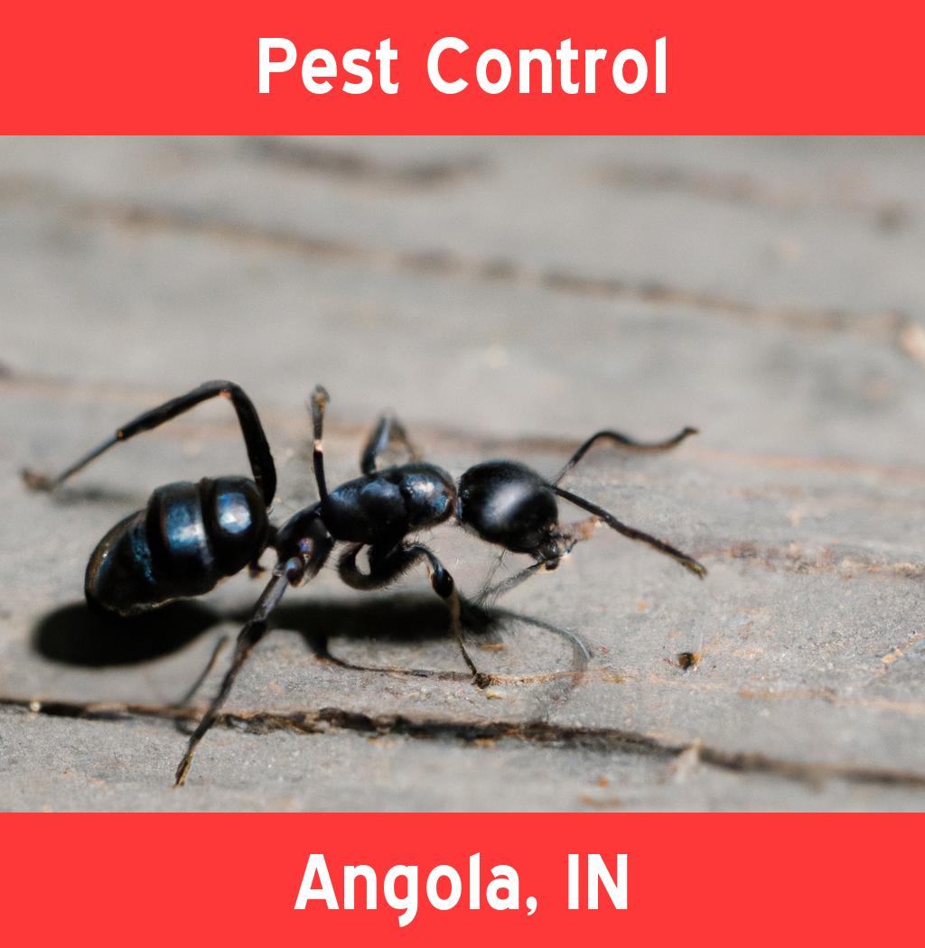 pest control in Angola Indiana