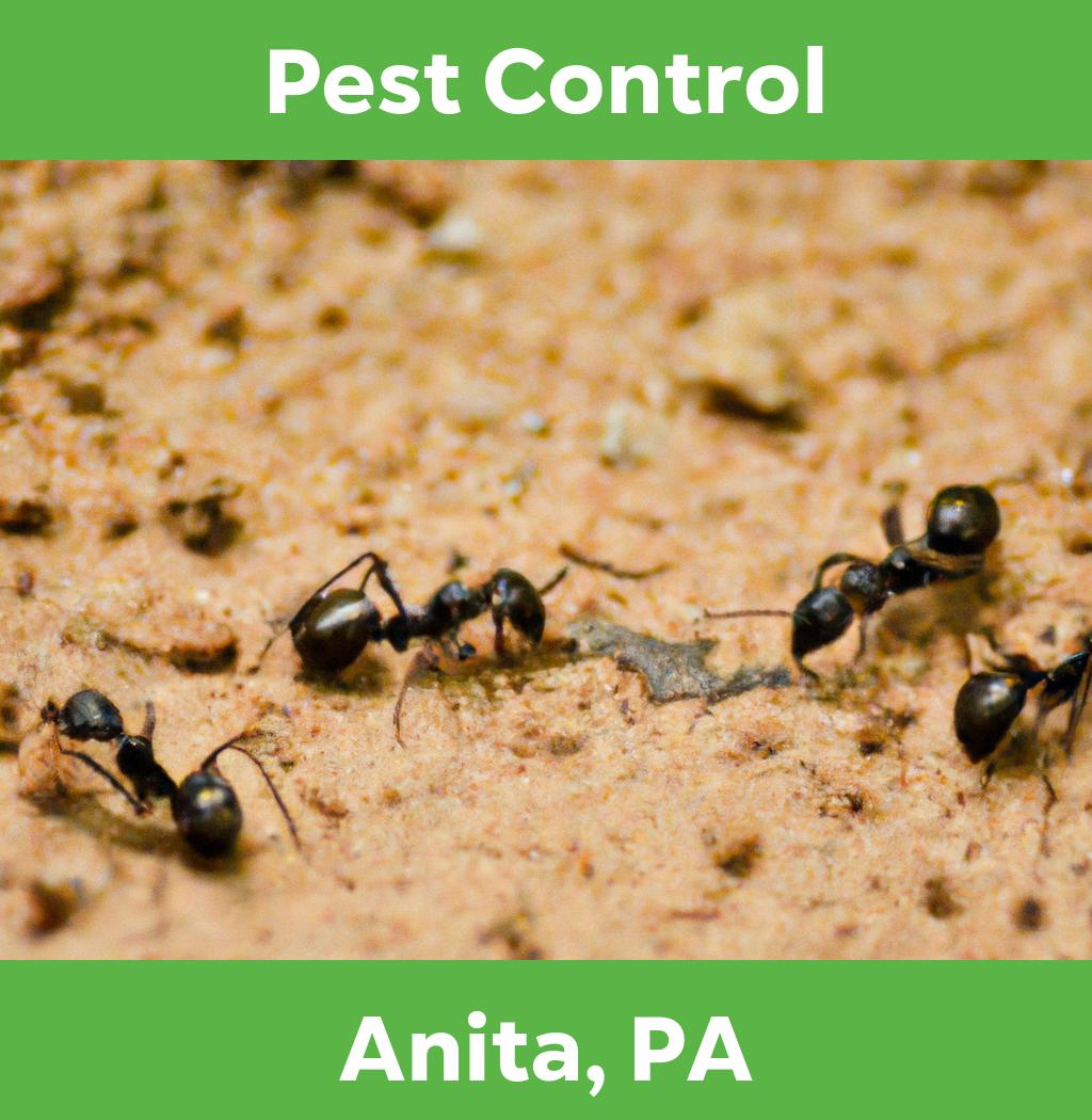 pest control in Anita Pennsylvania