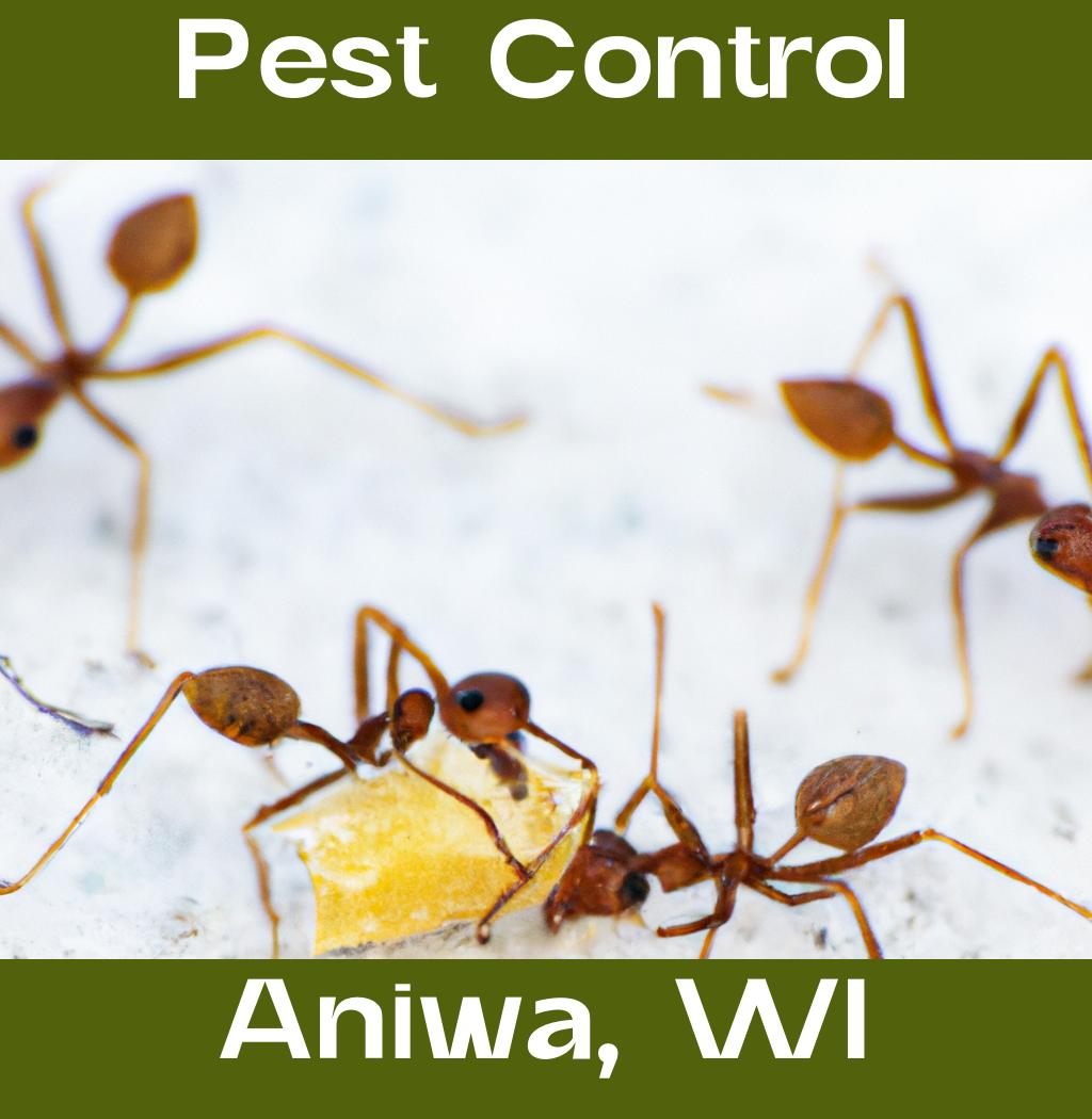 pest control in Aniwa Wisconsin